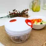 Mini Hachoir DELCASA